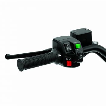 Integrated Heated Grips & Thumb Throttle Combo